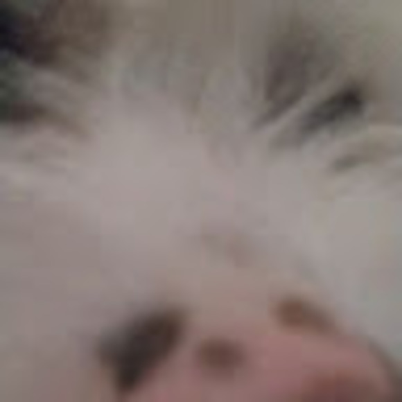 Meet your Posher, Vicki - Picture 1 of 1